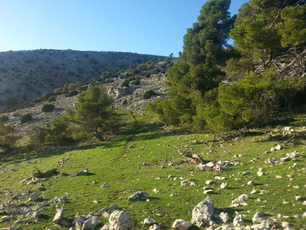 Imagen de Sierra Espuña